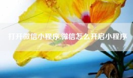 打开微信小程序,微信怎么开启小程序