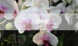 刀剑演武