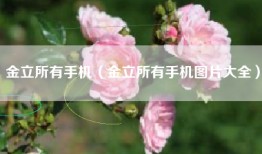 金立所有手机（金立所有手机图片大全）
