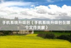 手机系统升级包（手机系统升级包在哪个文件夹里）