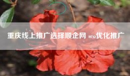 重庆线上推广选择顺企网 seo优化推广