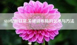SEO专员日常,关键词布局的艺术与方法