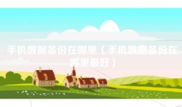 手机数据备份在哪里（手机数据备份在哪里最好）