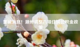 重磅消息！潮州调整六项住房公积金政策