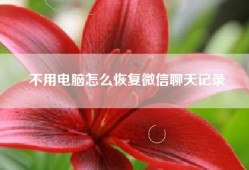 不用电脑怎么恢复微信聊天记录