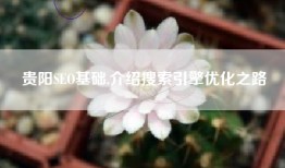贵阳SEO基础,介绍搜索引擎优化之路