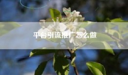 平台引流推广怎么做
