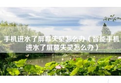 手机进水了屏幕失灵怎么办（智能手机进水了屏幕失灵怎么办）