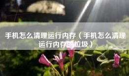 手机怎么清理运行内存（手机怎么清理运行内存的垃圾）