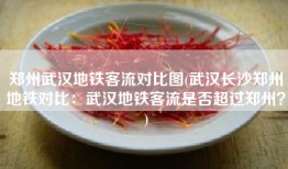 郑州武汉地铁客流对比图(武汉长沙郑州地铁对比：武汉地铁客流是否超过郑州？)
