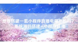 想要搭建一套小程序直播电商系统吗？ 系统源码搭建+小程序直播