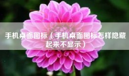 手机桌面图标（手机桌面图标怎样隐藏起来不显示）