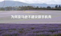 为何亚马逊不建议做手机壳