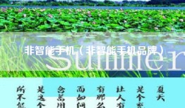 非智能手机（非智能手机品牌）