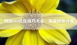 网站SEO优化技巧大全，实战经验分享