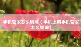 手机管家怎么删除（手机上的手机管家怎么删除）
