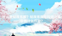 什么是贴现系数？贴现系数在投资决策中有什么作用？