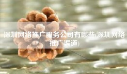 深圳网络推广服务公司有哪些(深圳网络推广渠道)