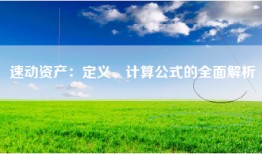 速动资产：定义、计算公式的全面解析