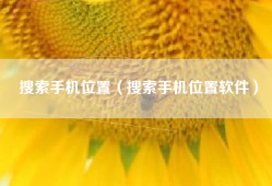 搜索手机位置（搜索手机位置软件）