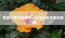 育苗经营所新领导，引领未来发展的新力量