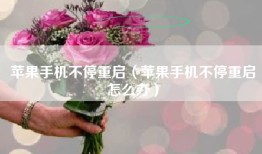 苹果手机不停重启（苹果手机不停重启怎么办）