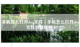 手机怎么打开dwg文件（手机怎么打开dwg文件百度经验）