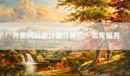 外贸网站设计制作推广一条龙服务