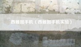 西雅图手机（西雅图手机实验）