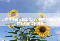 自媒体平台定位怎么写？具体介绍(自媒体平台定位有哪些)