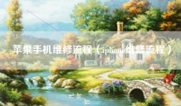 苹果手机维修流程（iphone维修流程）
