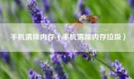 手机清除内存（手机清除内存垃圾）