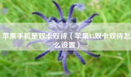 苹果手机是双卡双待（苹果15双卡双待怎么设置）