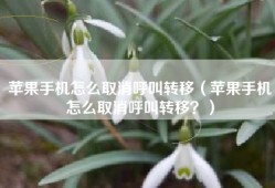 苹果手机怎么取消呼叫转移（苹果手机怎么取消呼叫转移？）