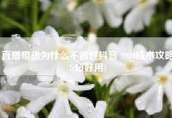 直播带货为什么不通过抖音 2024技术攻略!(超好用)