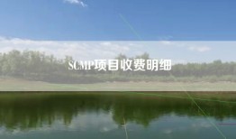 SCMP项目收费明细