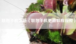 联想手机更新（联想手机更新教程视频）