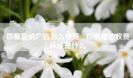 百度竞价广告怎么收费   百度竞价收费标准是什么