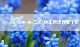 Semrush,Ahrefs ,Moz三款SEO工具选择哪个好