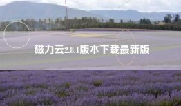 磁力云2.8.1版本下载最新版
