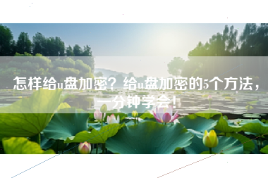 怎样给u盘加密？给u盘加密的5个方法，一分钟学会！