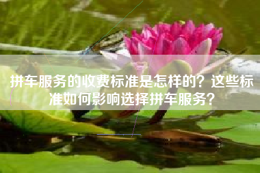 拼车服务的收费标准是怎样的？这些标准如何影响选择拼车服务？