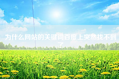 为什么网站的关键词百度上突然找不到了