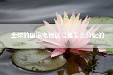 全球的国家电话区号是怎么分配的