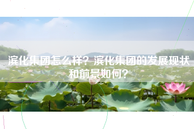 滨化集团怎么样？滨化集团的发展现状和前景如何？