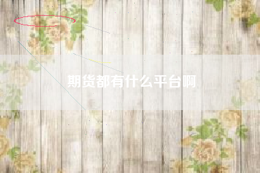 期货都有什么平台啊