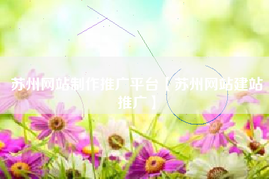 苏州网站制作推广平台【苏州网站建站推广】