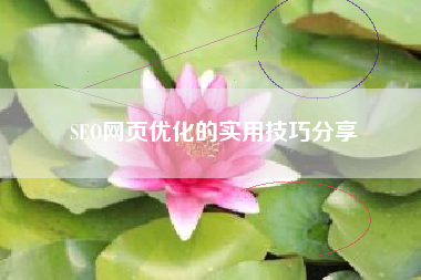 SEO网页优化的实用技巧分享