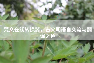 梵文在线转换器，古文明语言交流与翻译之道