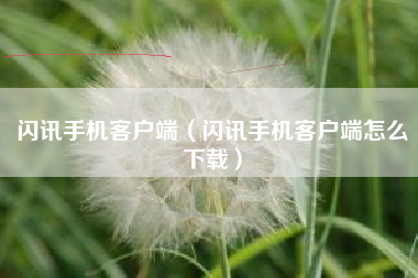 闪讯手机客户端（闪讯手机客户端怎么下载）